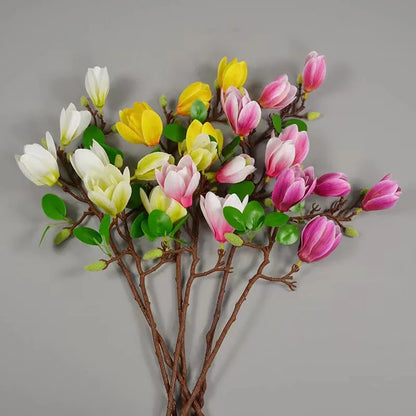 Magnolia Flower single branch
