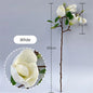 Magnolia Flower single branch