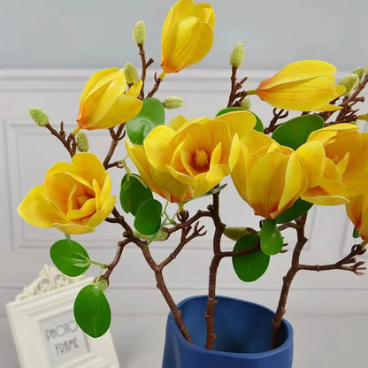 Magnolia Flower single branch