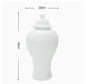 Decorative Ginger Jar (Large)